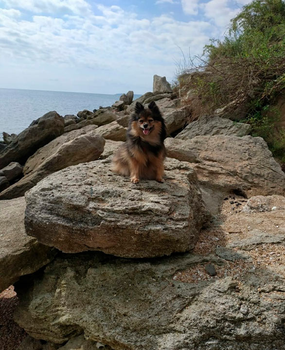 Морские волки =)